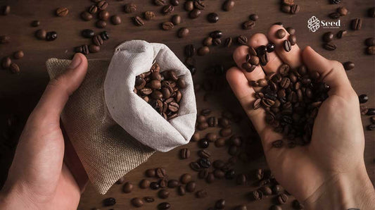 Why Fresh Roasted Coffee Beans Make All the Difference in Your Brew