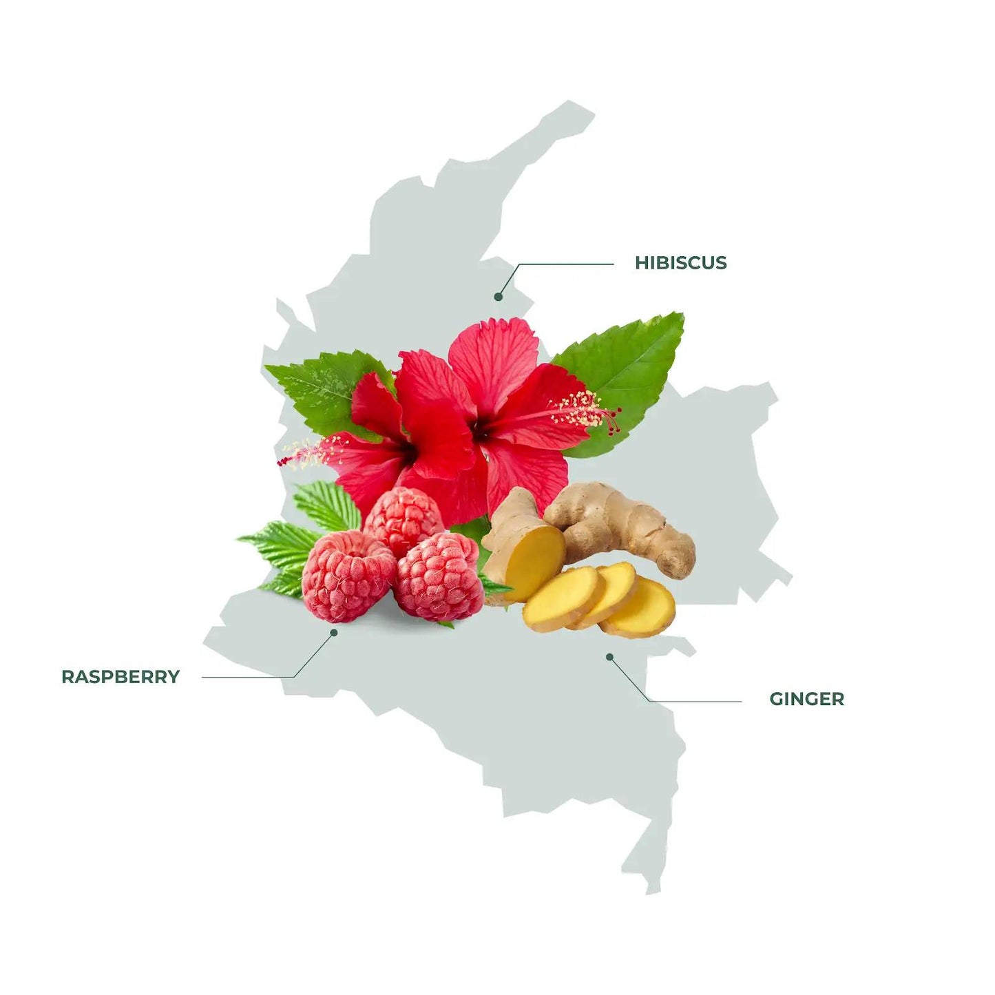 Colombia El Paraiso Geisha Coffee – A Sweet and Fruity Colombian Delight