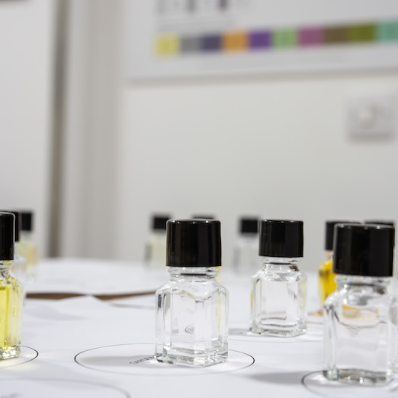 Sensory Skills Foundation Course – Develop Your Coffee Tasting Abilities