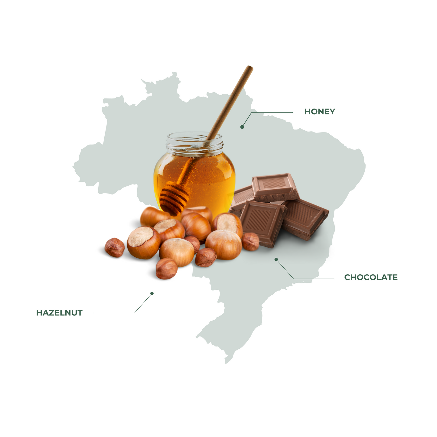 Brazil Toriba Specialty Coffee – A Perfect Balance of Sweetness and Body