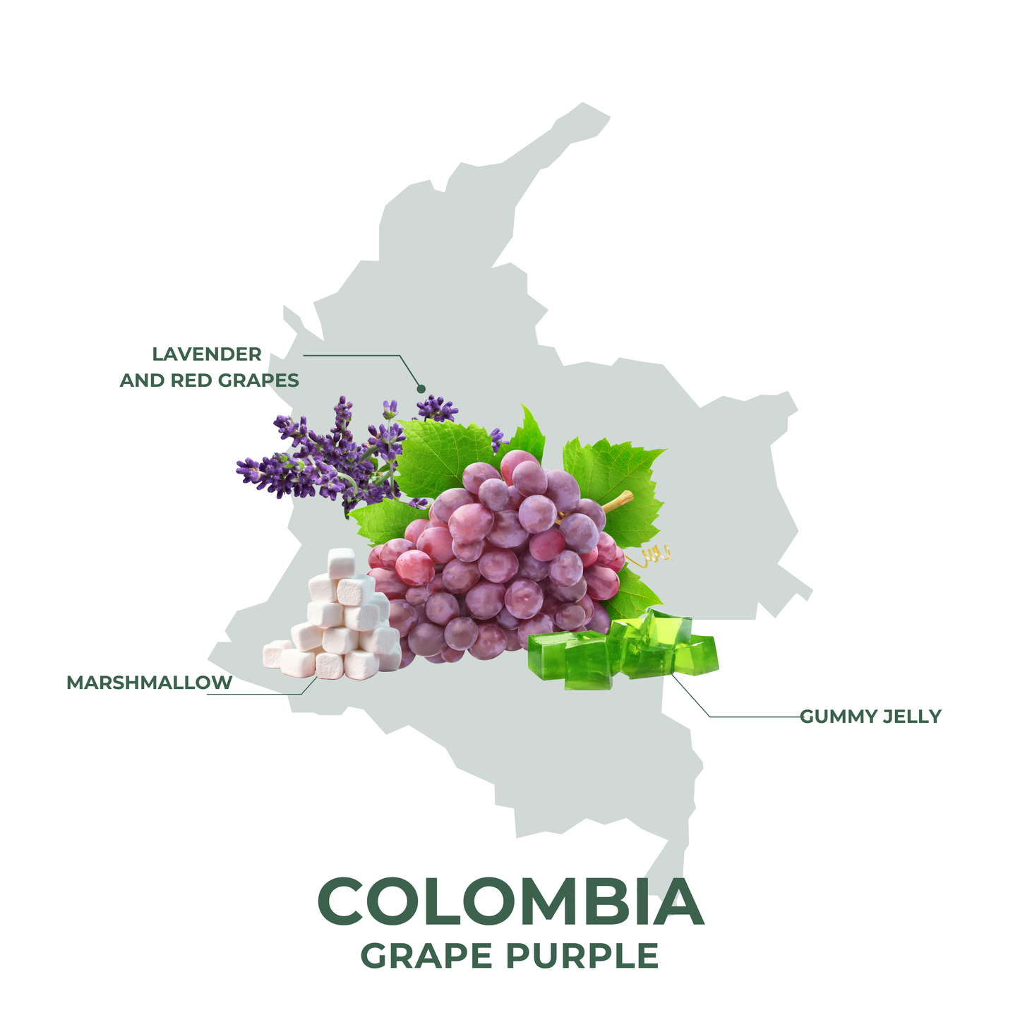 Colombia Grape Purple