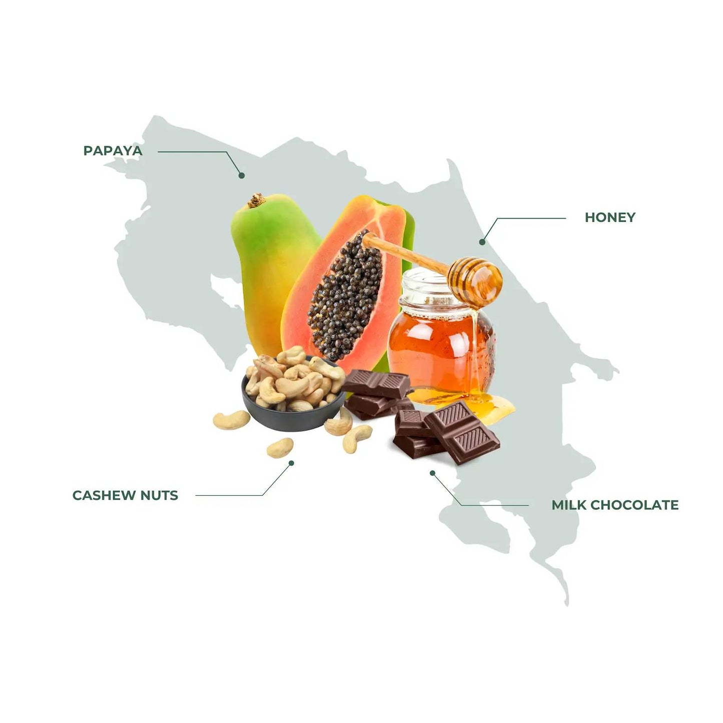 Costa Rica West Valley Specialty Coffee – A Perfect Blend of Sweetness and Complexity