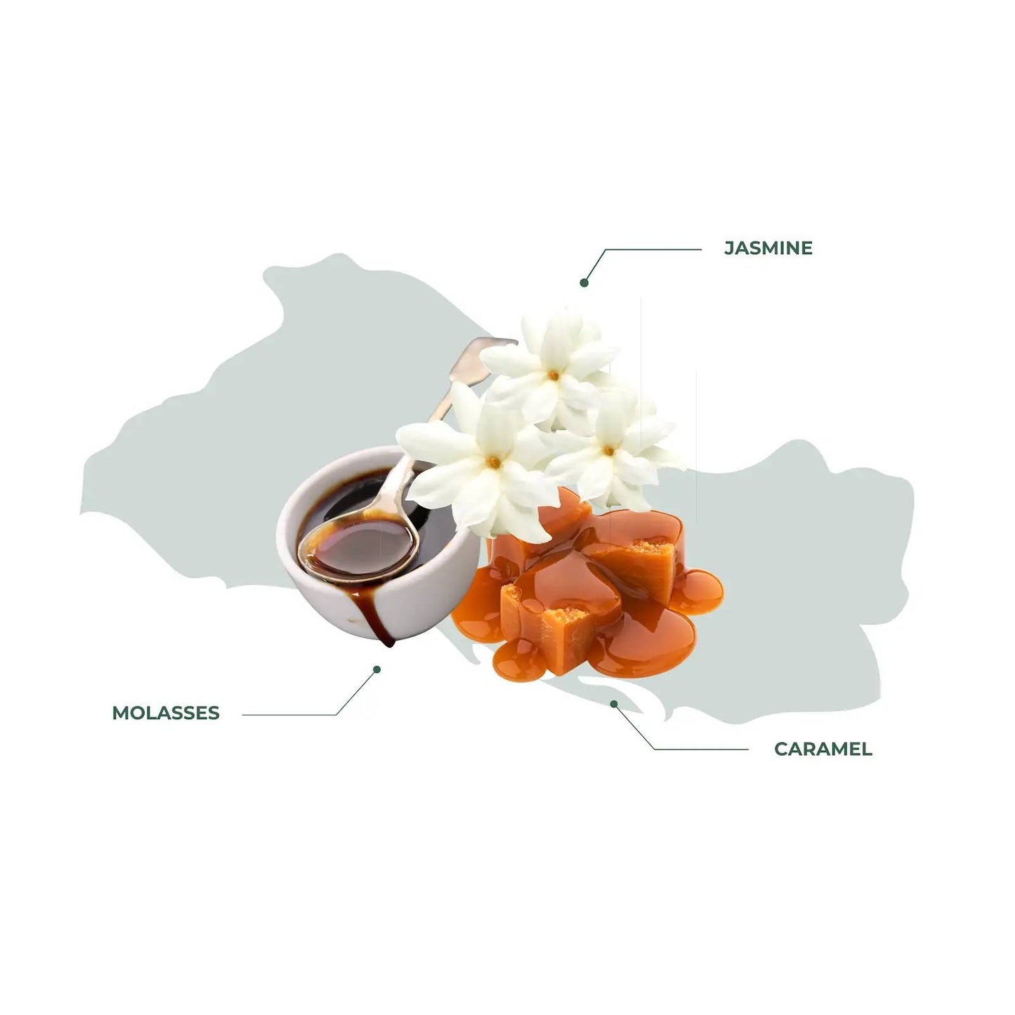 El Salvador La Providencia Coffee – Smooth and Sweet with a Chocolatey Finish