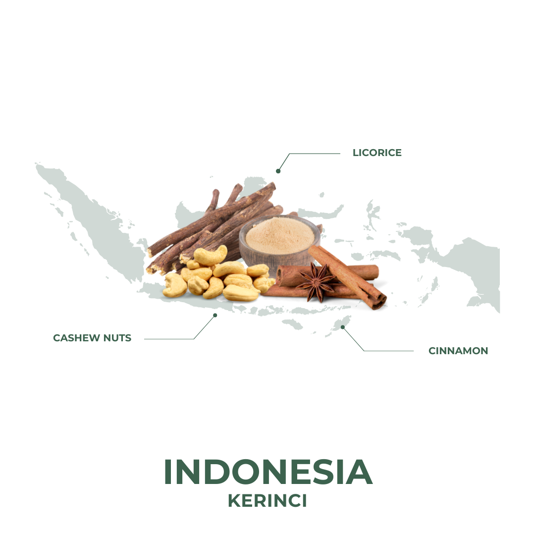 Indonesia Kerinci Drip Bags
