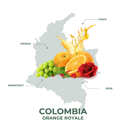 Colombia Orange Royale