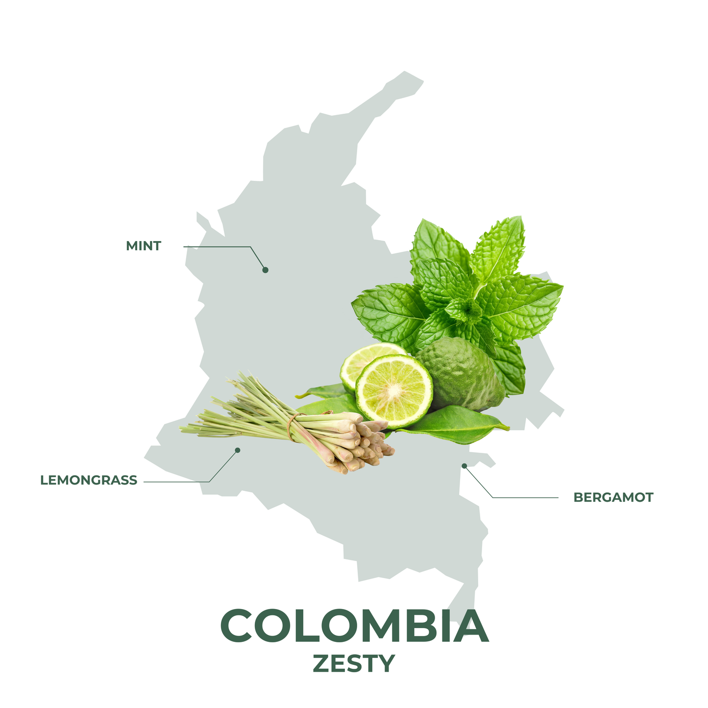 Colombia Zesty