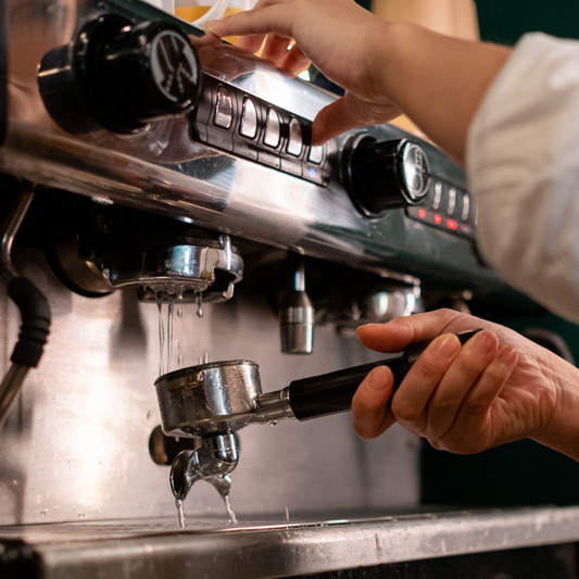 Seed Barista Coffee Course