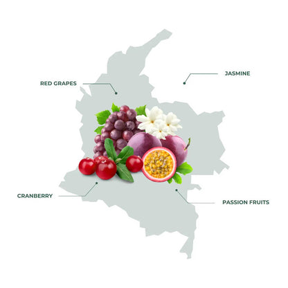 Colombia Buenavista – A Premium Single-Origin Coffee with Vibrant Flavors
