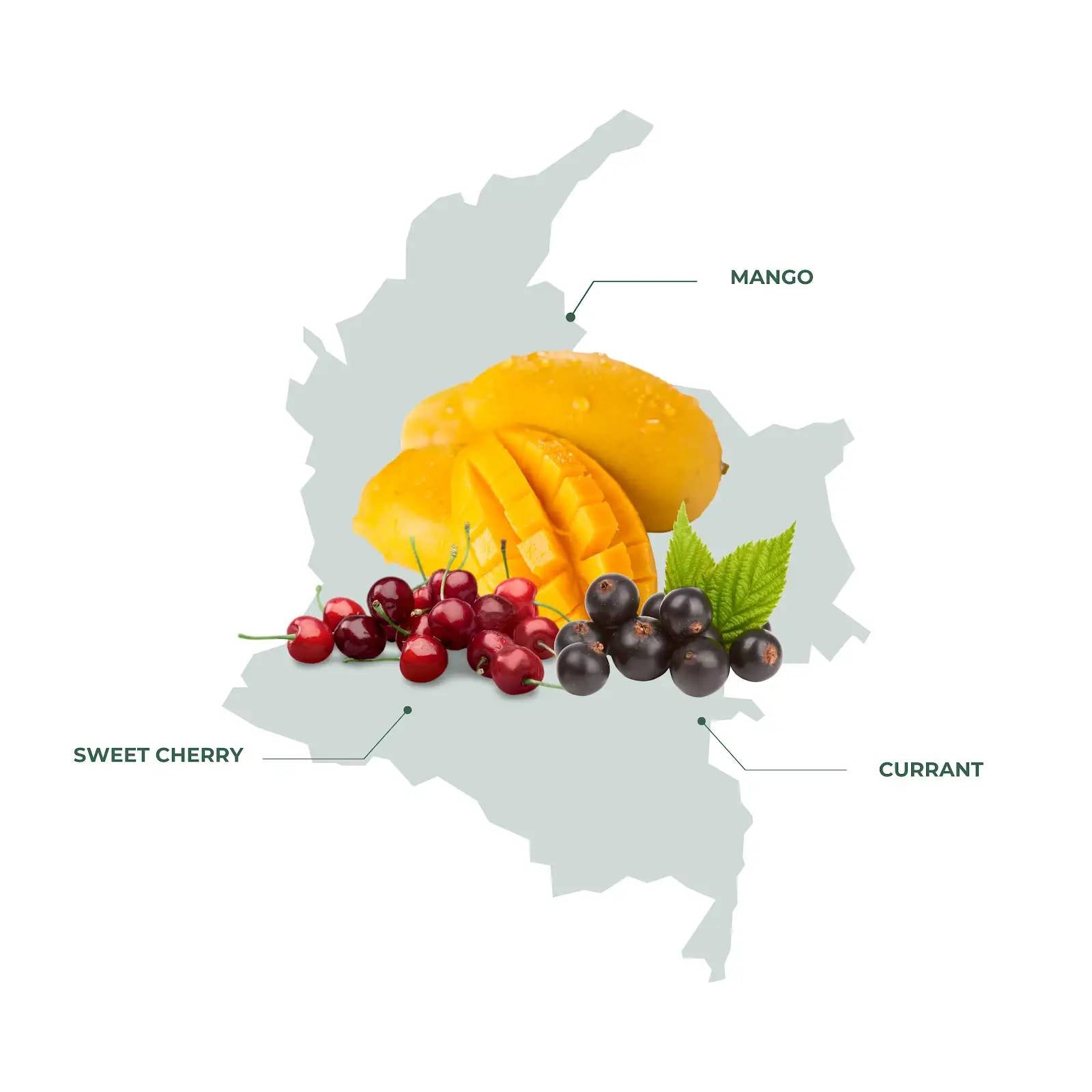 Colombia Fruit Fusion Coffee – A Vibrant Blend of Fruity and Sweet Notes