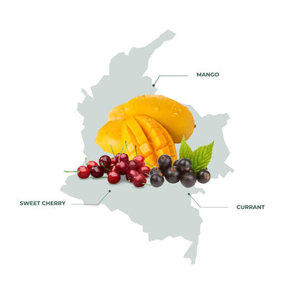 Colombia Fruit Fusion Coffee – A Vibrant Blend of Fruity and Sweet Notes