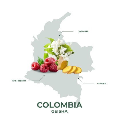 Colombia Geisha Drip Bags