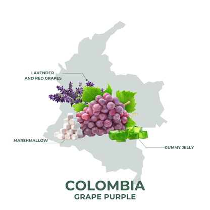 Colombia Grape Purple