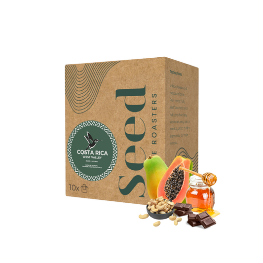 Costa Rica West Valley Drip Bags