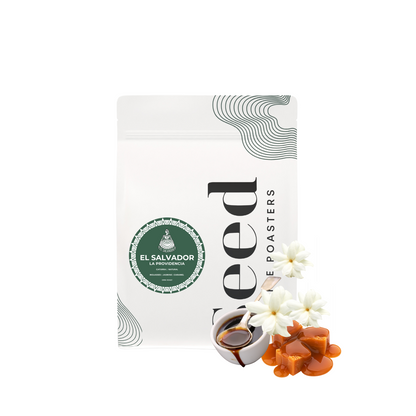 El Salvador La Providencia Specialty Coffee – Rich, Balanced, and Flavorful