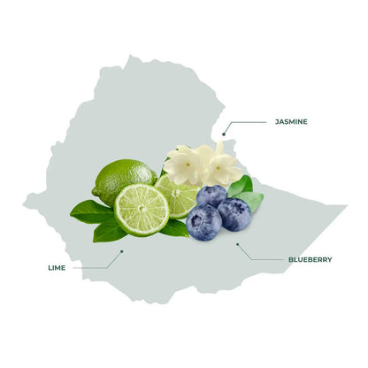 Ethiopia Koke Coffee – A Delicate Balance of Citrus and Floral Notes