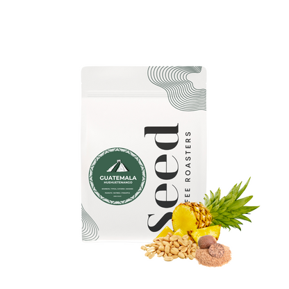 Guatemala Huehuetenango Specialty Coffee – A Perfect Balance of Sweetness and Acidity