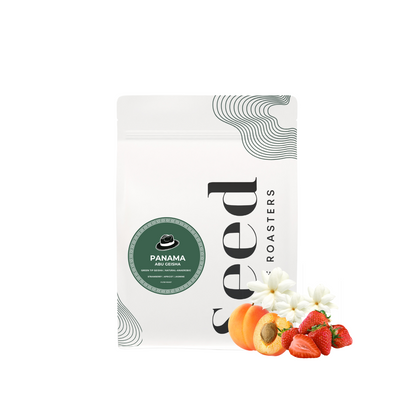 Panama Abu Geisha